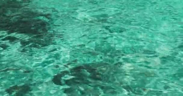 透明的蓝绿色海水 顶视图 阳光照射在地面上 石头照射在底部 闪烁着蓝色的水波背景 — 图库视频影像