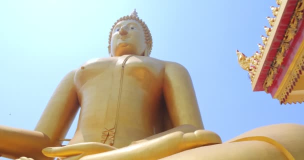 Stor Buddhastaty Den Glittrande Gyllene Färgen Vacker Wat Muang Ang — Stockvideo