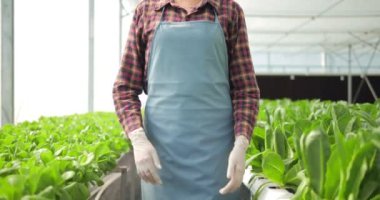 Asyalı kadın çiftçinin portresi kollarını kavuşturup kameraya gülümseyerek ve mutlulukla bakıyor modern hidroponik sebze çiftliğinde..