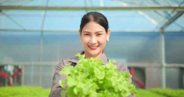 Asian Woman Farmers Showing Produce Modern Hydroponic Vegetable Green House — Stock Video