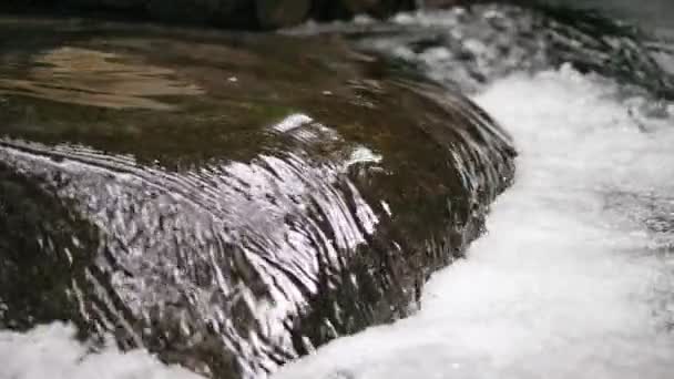 Zblízka Zpomalení Pohybu Řeky Nebo Jezera Vodopád Tropické Řece Krásné — Stock video