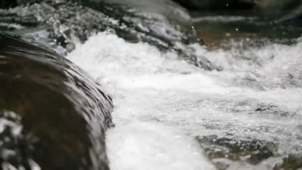 Zblízka Zpomalení Pohybu Řeky Nebo Jezera Vodopád Tropické Řece Krásné — Stock video