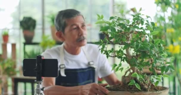 Senior Gardener Asian Man Blogger Review Selling Plant Trees Pots — Vídeo de stock