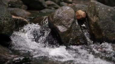Temiz su, dağ şelalesindeki kayalıklara sıçrıyor. Doğa Ormanı Nehri 'nin güzel çağlayan suyu. Kayaların arasından temiz su akıyor. Yaklaş.