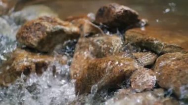 Nehrin yavaş akışı ya da şelalenin tropikal nehir akıntısı içindeki doğal güzelliği..