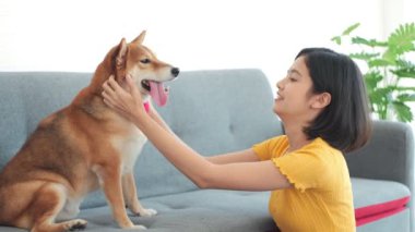 Mutlu kadın kanepede evcil köpekle oynuyor. Evde eğleniyor..