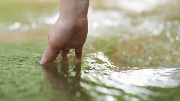 Nahaufnahme Von Hand Die Das Wasser Grünen Waldfluss Oder See — Stockvideo