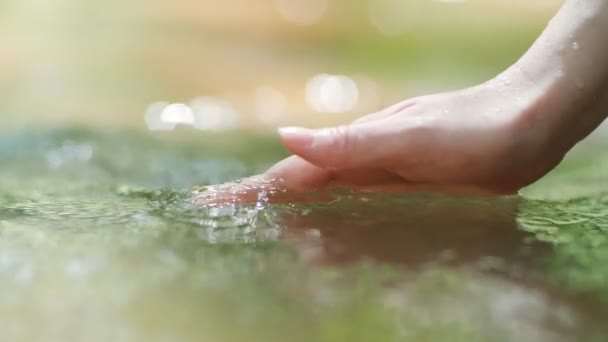 Berühren Sie Wasser Mit Der Hand Grünen Waldfluss Oder See — Stockvideo