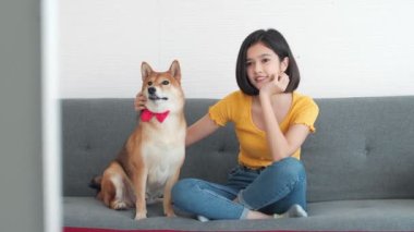 Mutlu kadın televizyon izlerken gülümsüyor ve Shiba inu köpek evde. Evde yalnız kal..