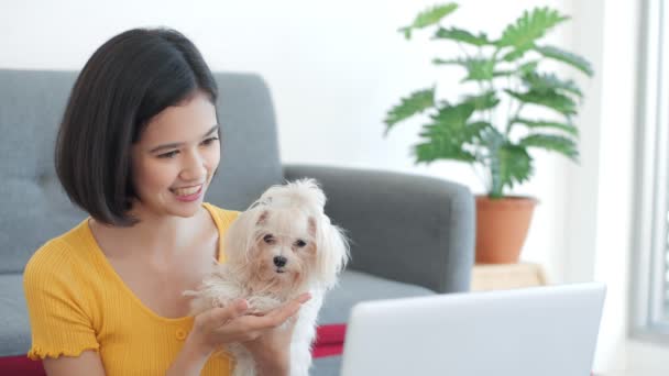 Slow Motion Young Asian Mixed Woman Sitting Petting Her Dog — Wideo stockowe