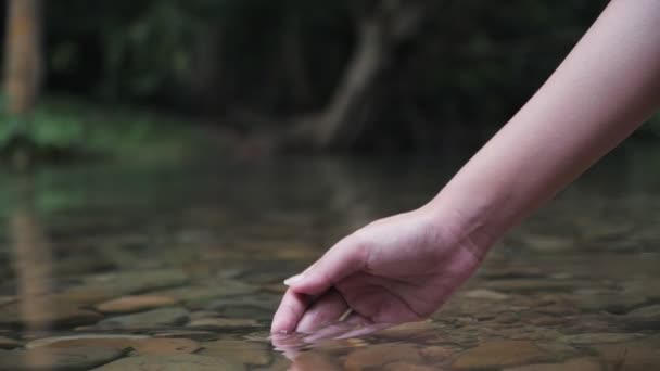 在森林的河流或湖中人工采摘淡水 在缓慢的运动中用手捂住清澈的水 — 图库视频影像