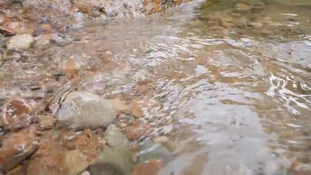 Närbild Slow Motion Flodflödet Skog Vilda Bergsfloden Riklig Clear Stream — Stockvideo