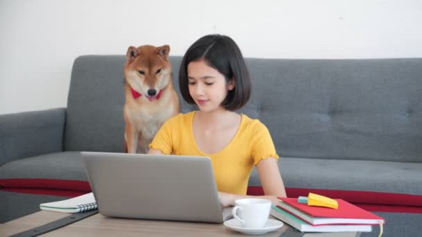 Smiling Asian Woman Working Home Sitting Using Laptop Notebook Looking — Vídeo de Stock
