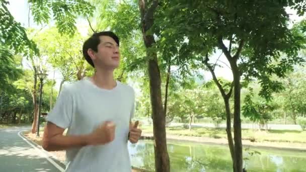 Hombre Asiático Corriendo Parque Feliz Saludable Fondo Verde Público Fit — Vídeo de stock