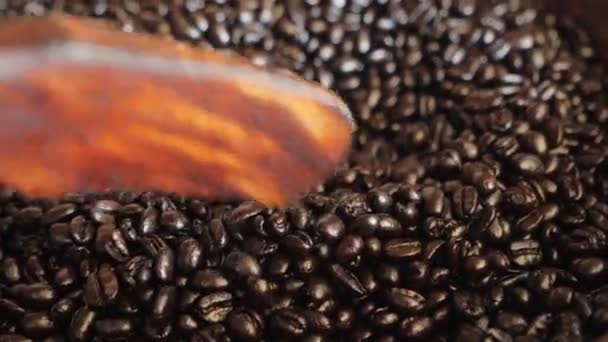 Gebraden Zwarte Koffiebonen Cappuccino Aroma Zwarte Cafeïne Drank Ingrediënt Voor — Stockvideo