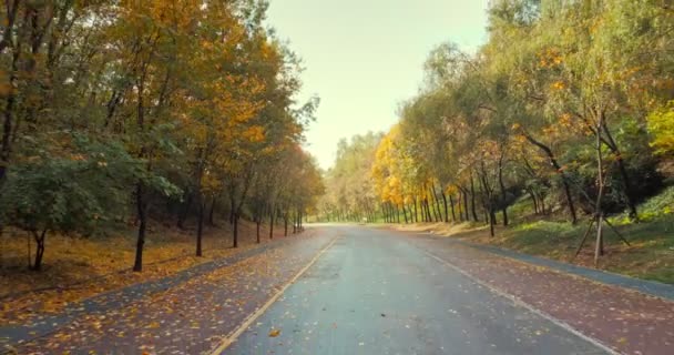 Road Haneul Park Autumn Season Soul South Korea — Stock video