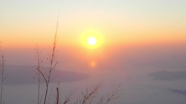 Beau Lever Soleil Sur Les Montagnes Brouillard Sauvage Matin Été — Video