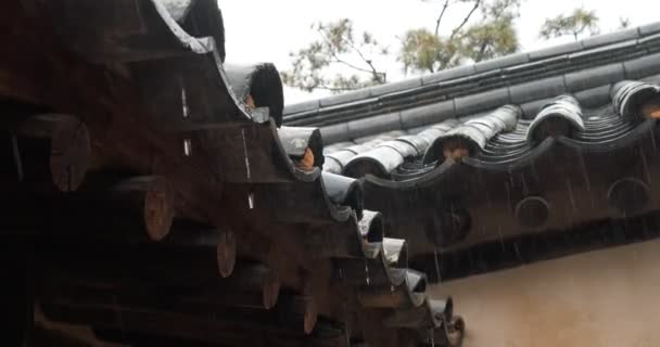 韩国传统房顶的雨天 — 图库视频影像
