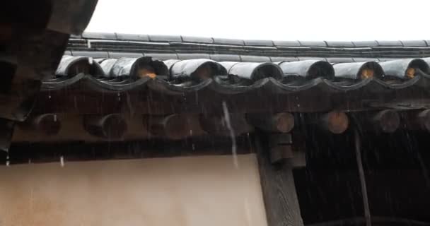 Regentag Dach Eines Koreanischen Traditionshauses — Stockvideo