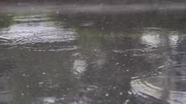 Pora Deszczowa Krople Wody Deszczowej Spadające Ziemię Asfaltową — Wideo stockowe