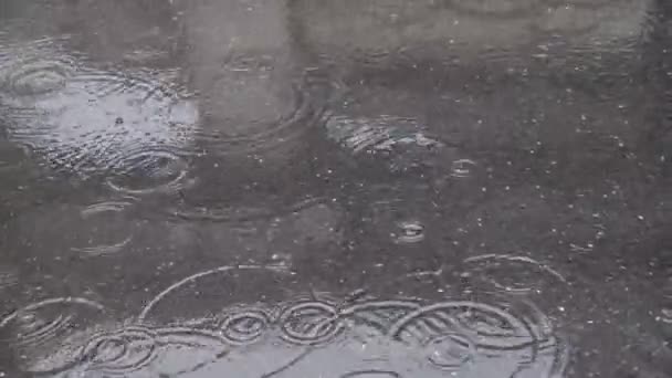地面に落ちる雨の水の滴の閉じる — ストック動画