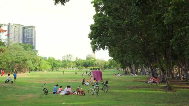 Pessoas Relaxando Piquenique Grama Verde Parque Público Família Feliz Desfrutar — Vídeo de Stock