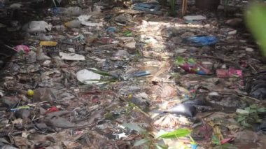 Çöp ve diğer döküntüler suyun üzerinde yüzüyor. Deniz kirliliği. Sudaki plastik atıklar, vahşi yaşamı öldürüyor..