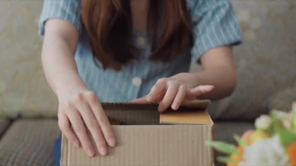 女子拆箱闭包邮包在国内对网上速递采购感到满意 — 图库视频影像