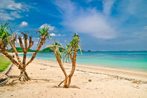 Belleza Playa Mandalika Isla Lombok Indonesia Mandalika Beach Uno Los — Foto de Stock
