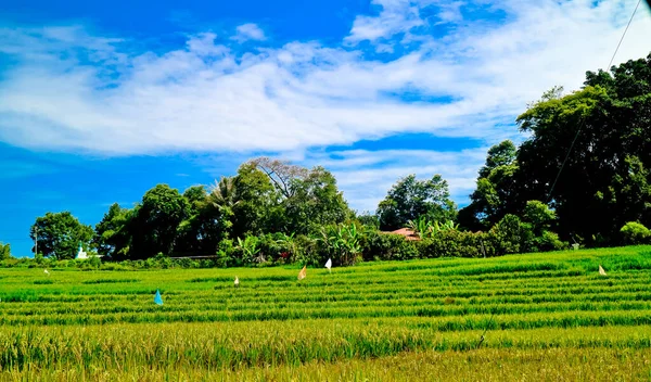 Vacker Utsikt Över Tarabunga Hills Norra Sumatra Indonesien Vacker Kulle — Stockfoto