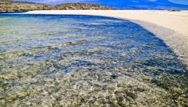 Tropik Cennet Sahili, Tabuhan Adası, Banyuwangi, Doğu Java, Endonezya Beyaz Kum Adası, Doğu Java 'da turistlerin en sevdiği yerdir.