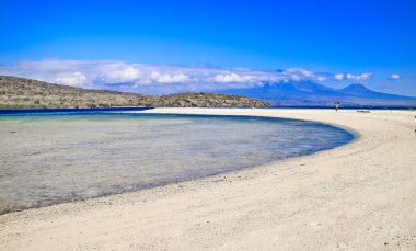 Manzaralı Tropik Cennet Sahili, Menjangan Adası, Bali, Endonezya Menjangan Adası, Bali 'de bir cennet.