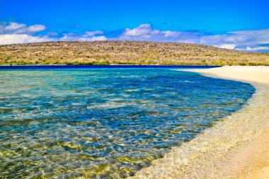 Tropik Cennet Sahili, Tabuhan Adası, Banyuwangi, Doğu Java, Endonezya Beyaz Kum Adası, Doğu Java 'da turistlerin en sevdiği yerdir.