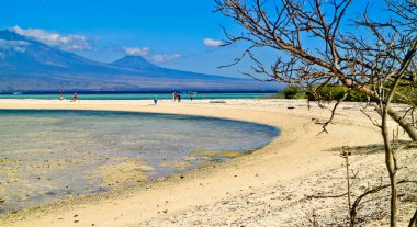 Manzaralı Tropik Cennet Sahili, Menjangan Adası, Bali, Endonezya Menjangan Adası, Bali 'de bir cennet.