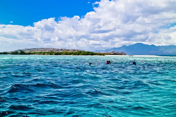 Turisti Snorkeling Sulla Spiaggia Tropicale Dell Isola Menjangan Isola Bali — Foto Stock