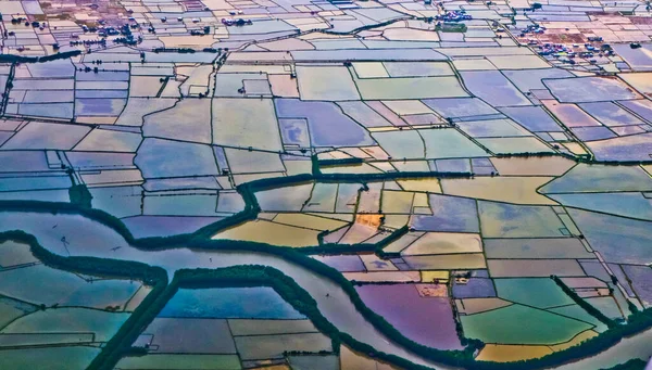 Pirinç yapbozu. Yukarıdan bir dizi pirinç tarlası güzel düzenlenmiş dev bir yapboz gibidir.