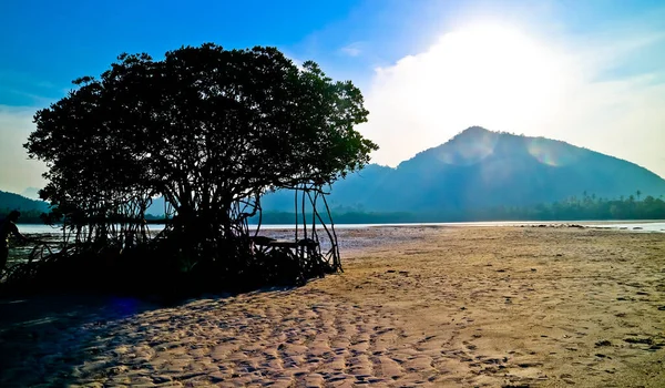 Vistas Panorámicas Playa Del Paraíso Tropical Isla Pahawan Lampung Sumatera — Foto de Stock