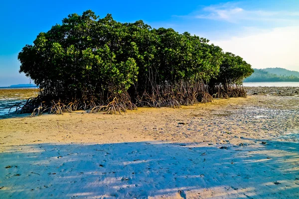 Vistas Panorámicas Playa Del Paraíso Tropical Isla Pahawan Lampung Sumatera — Foto de Stock