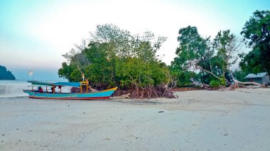 Geleneksel tekneler güzel bir tropikal sahilde, Menjangan adasında. Bali. Endonezya Radyasyon Gemisi şnorkelle yüzen turistleri bekliyor