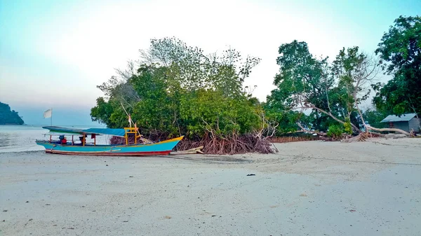 Geleneksel tekneler güzel bir tropikal sahilde, Menjangan adasında. Bali. Endonezya Radyasyon Gemisi şnorkelle yüzen turistleri bekliyor
