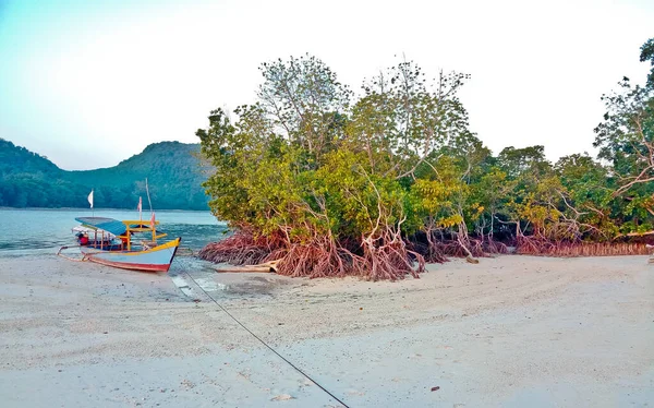Vista Panorámica Playa Del Paraíso Tropical Isla Pahawan Lampung Sumatera — Foto de Stock