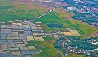 Pirinç tarlası bulmacası. Yukarıdan bir dizi pirinç tarlası güzel düzenlenmiş dev bir yapboz gibidir.