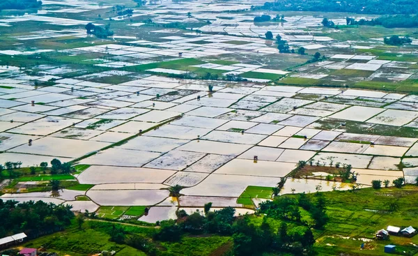 Campo Arroz Puzzle Serie Campos Arroz Arriba Como Rompecabezas Gigante — Foto de Stock