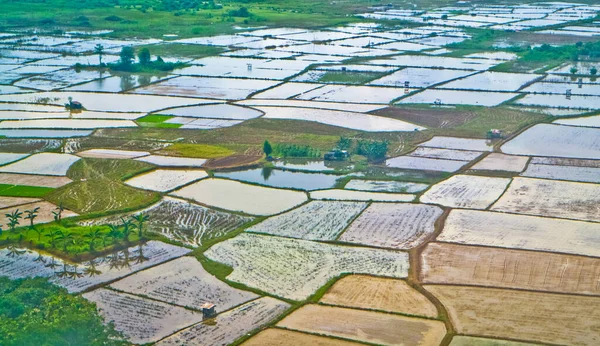 Reisfeld Puzzle Eine Reihe Von Reisfeldern Von Oben Ist Wie — Stockfoto