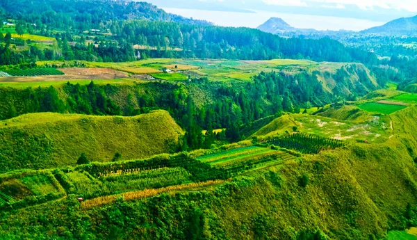 Vista Aérea Los Campos Agrícolas Balige Tobasa Sumatera Del Norte — Foto de Stock