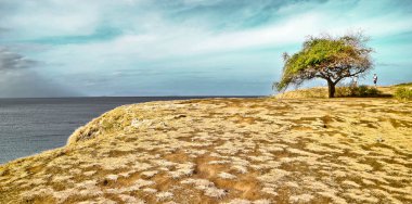 Lombok 'un pembe kumsalındaki güzel tepe. Lombok' un pembe plajı yukarıdan görülebilen savana tepeleriyle çevrilidir.