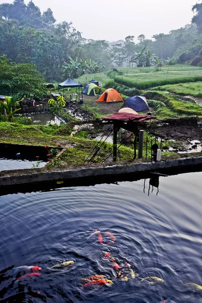 Camp Village Camper Enjoying Beauty Village Atmosphere — Stock Photo, Image