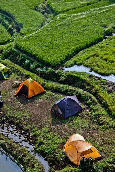 Camp Village Camper Enjoying Beauty Village Atmosphere — ストック写真