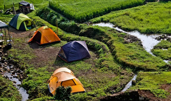 Camp Village Camper Enjoying Beauty Village Atmosphere — Photo