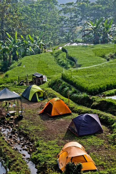 Camp Village Camper Enjoying Beauty Village Atmosphere — Foto de Stock